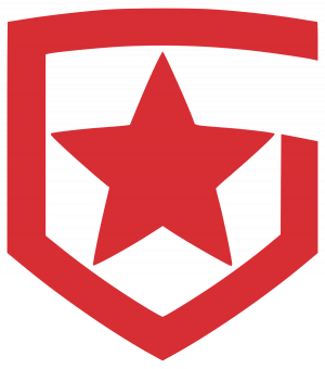 1gambitpng — top 100 hltv option 12