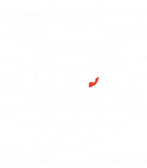 4g2png — top 100 hltv option 45