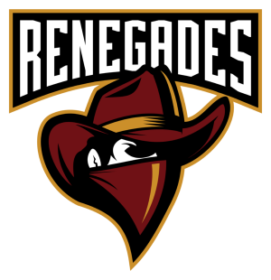51renegadespng — top 100 hltv option 47