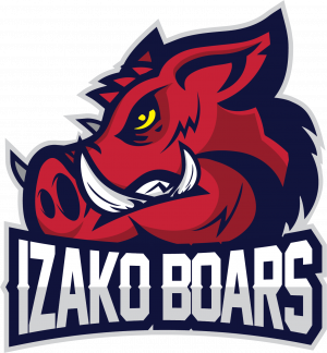 53izakopng — top 100 hltv option 49