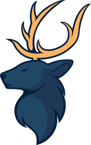 64triumphpng — top 100 hltv option 61