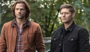 B1d03a17 6c9e 42a6 Bbfa 4d2e27df2814jpeg — Top 50 Ships On ao3 option 35