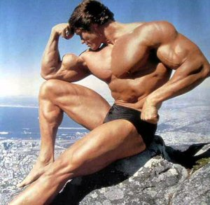 Fotoculturistajpg — Top Animales Poderosos option 8