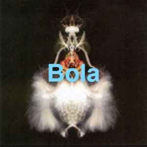 Image 16png — Top IDM artists option 66