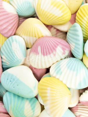 Grg56chuches Para Fiestas Tematicas De Mar Playajpg — TOP MEJORES CHUCHES NO FAKE option 36