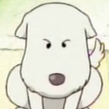 02 Shushucucciolopng — TOP One Piece Animals option 2