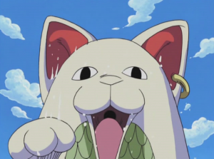 09 Gattodimarepng — TOP One Piece Animals option 9