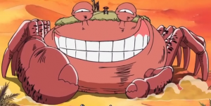 12 Chelottopng — TOP One Piece Animals option 13