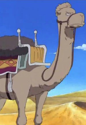 13 Ciglionepng — TOP One Piece Animals option 14
