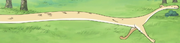 23 Voooolpepng — TOP One Piece Animals option 24
