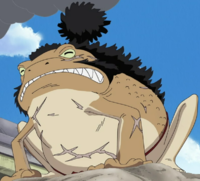 33 Yokozunapng — TOP One Piece Animals option 34