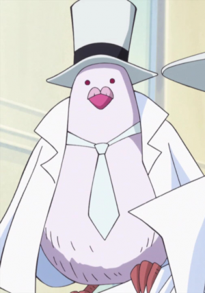 36 Hattoridopopng — TOP One Piece Animals option 37