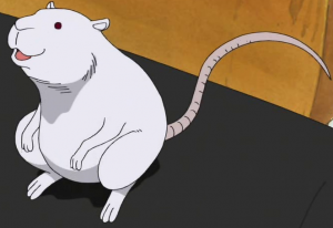 38 Tirannosauropng — TOP One Piece Animals option 39