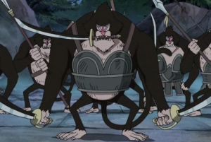 45 Umandrillipng — TOP One Piece Animals option 45