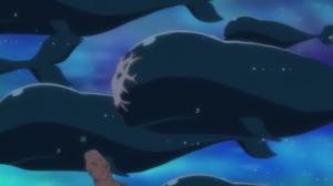 53 Baleneisolapng — TOP One Piece Animals option 53