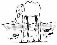 60 Naitamie Noridazpng — TOP One Piece Animals option 60