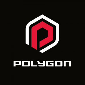 Polygonbikeslogojpg — Trail Talk Best Value MTB Brands 2020 option 32