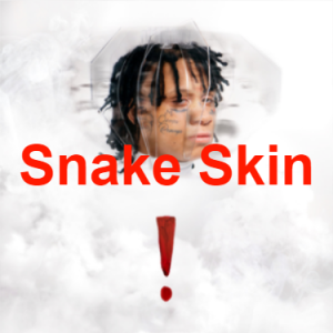Image 1 5png — Trippie Redd Album/Mixtape songs TIERLIST!!! 2021 option 34