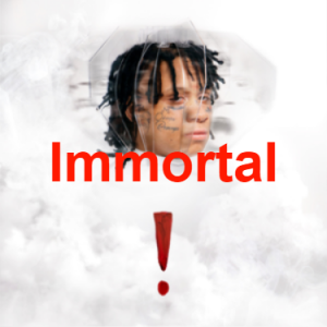 Image 4 5png — Trippie Redd Album/Mixtape songs TIERLIST!!! 2021 option 82