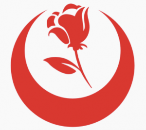 74572dd1 80b5 490f B22e 00b4afbbde2djpeg — Turkish Political Parties 2021 - Türk Siyasi Partileri 2021 option 8
