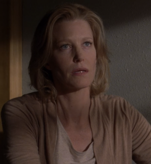 Skyler2010png — TV Characters option 72