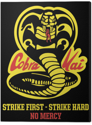 Laerred Cobra Kai No Mercy I103020jpg — TV-series (In English, live action) option 19