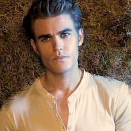 Stefansalvatore25622099jpg — TVD Universe Characters option 58