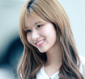 Sanajpg — Twice Members option 8