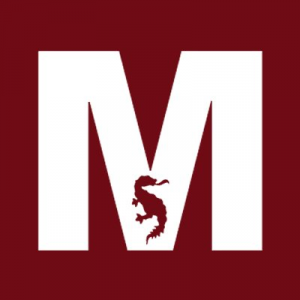 Zz159128362994b54f9d Bc6a 4a47 89f6 2f0c44235db5jpeg — Twittos FC Metz option 29