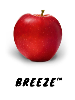 Create a Ultimate Apple Varieties Tier List - TierMaker