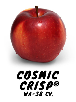 Ultimate Apple Varieties Tier List (Community Rankings) - TierMaker