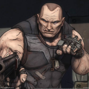 Brickjpg — Ultimate Borderlands Character Tier List option 13