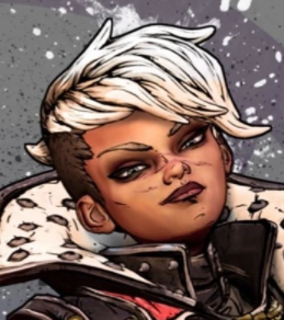 Tyreenpng — Ultimate Borderlands Character Tier List option 92