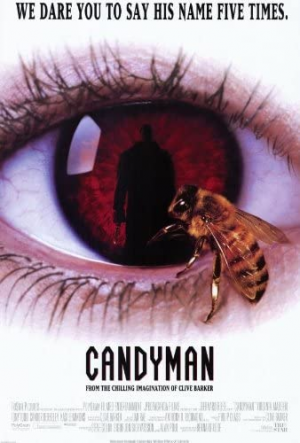51pcrwhymflacjpg — Ultimate Horror Movie Ranking List option 42