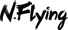 Nflyingjpg — Ultimate Kpop Boy Group Ranking option 30