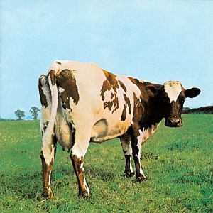 Zz1631453816cover536151082009jpg — Ultimate Prog Pilg: Majin Edition option 75