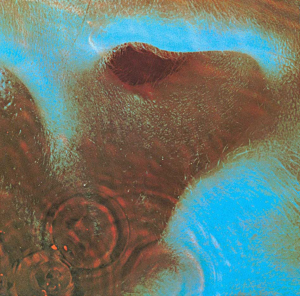 Zz1631453819cover29441717102008jpg — Ultimate Prog Pilg: Majin Edition option 120