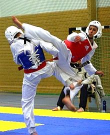 Taekwondojpg — Ultimate Sports Tier List option 32