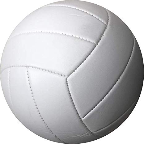 Volleyballjpg — Ultimate Sports Tier List option 36