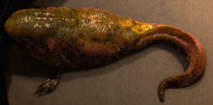 Zz1562942379dart Stage1png — Ultimate Stranger Things Character List option 45