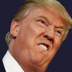 Trumppng — Ultimate Original TDU Tier List (350+ Characters) option 21