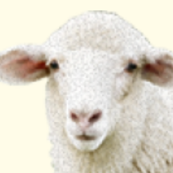 Zz1635314201sheeppng — Ultimate Original TDU Tier List (350+ Characters) option 242