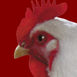 Zz1635314263chickenpng — Ultimate Original TDU Tier List (350+ Characters) option 302