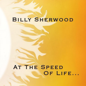 Zz16435425952008 At The Speed Of Lifejpg — Ultimate Yessolo Pilgrimage option 535