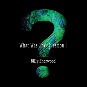 Zz16435425952011 What Was The Questionjpg — Ultimate Yessolo Pilgrimage option 537