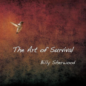 Zz16435425952012 The Art Of Survivaljpg — Ultimate Yessolo Pilgrimage option 538