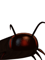 Insane Roachpng — Ultra Custom Night Characters and Skins (UPDATED) option 311