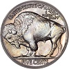 Buffalo Nickeljpg — United States Coins! option 64