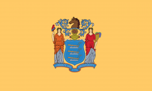 Njpng — US State Flags Ranked 2020 option 30