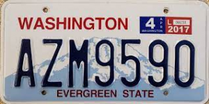 Washingtonjpg — US State License Plates 2021 option 47
